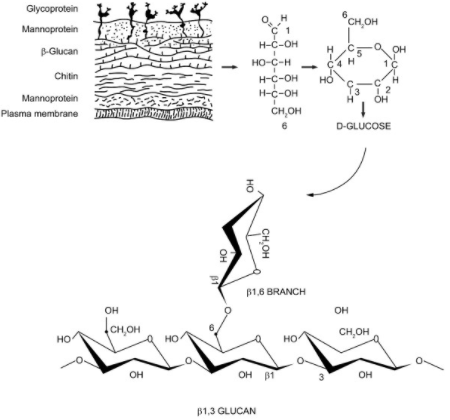 Screen Shot 2018-04-06 at 10.13.37 PM
