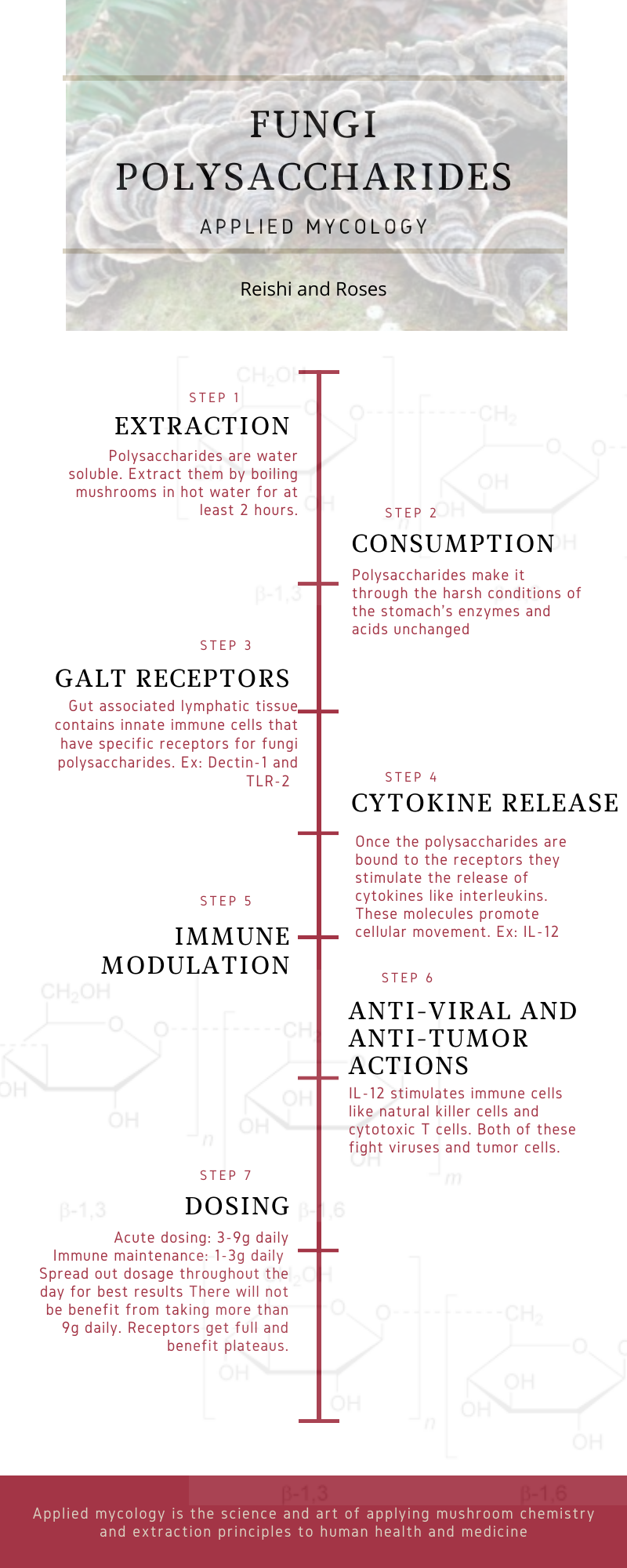 Fungi Polysaccharides (3).png