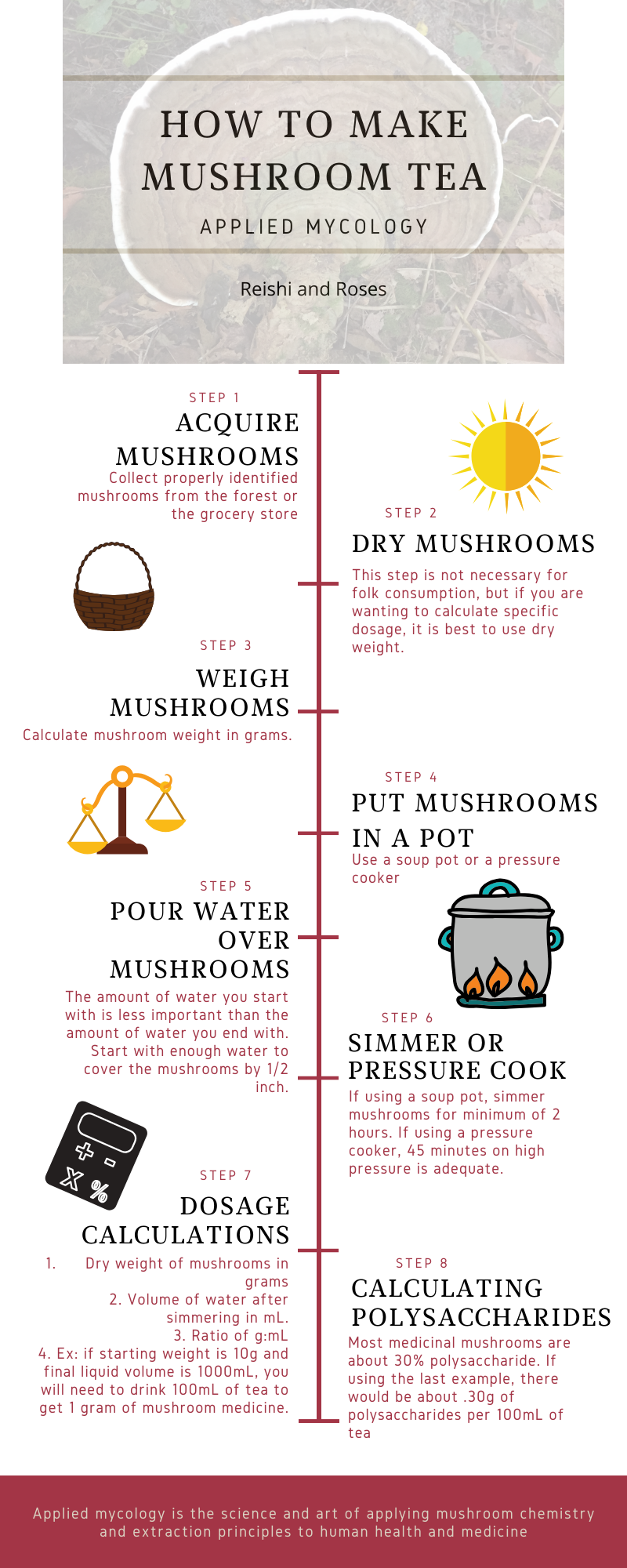 Fungi Polysaccharides (7).png