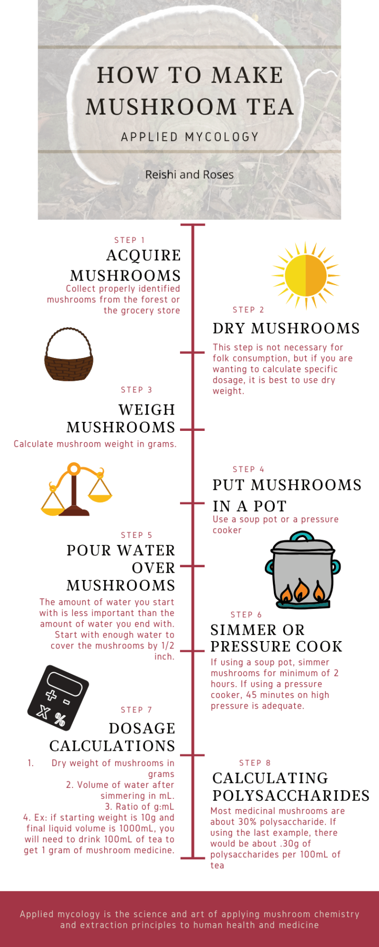 Fungi Polysaccharides (7).png