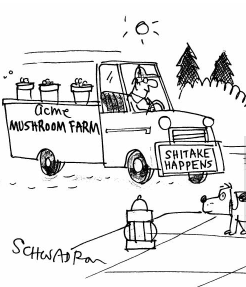 Screen Shot 2019-12-01 at 8.20.41 AM